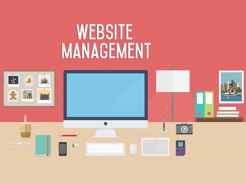 Nằm lòng phương pháp, tìm việc làm quản trị website dễ như trở bàn tay